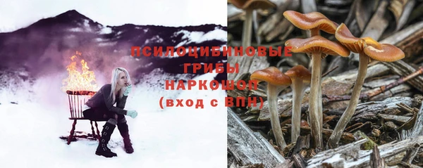 прущая мука Верхний Тагил
