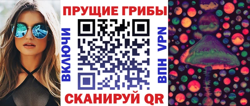 Галлюциногенные грибы мицелий  где продают наркотики  Воркута 